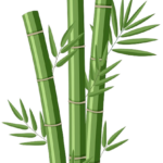 Bamboo01_Resize